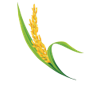 لوگوی بلجاردین